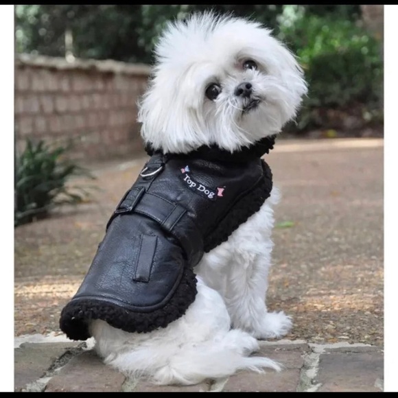 Dog Bomber Jacket fits dogs 11 to 15 lbs New Doggie Design Dog Coat with Leash - Picture 4 of 5